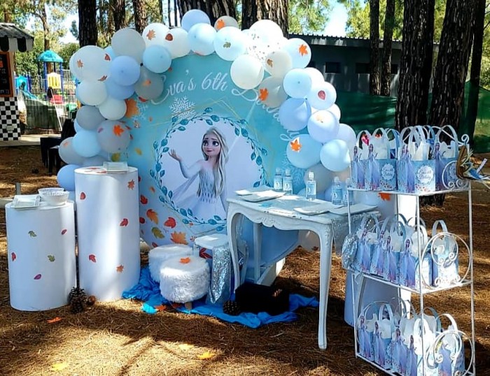 Kiddies Theme Parties offers personalized birthday party supplies and decor for sale.