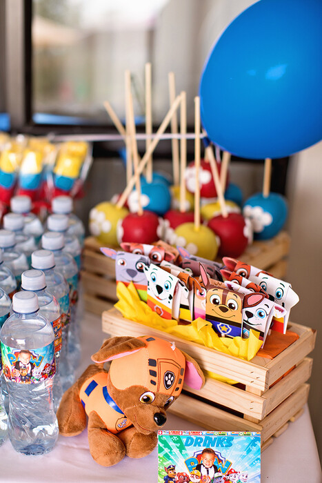 Kiddies Theme Parties offers personalized birthday party supplies and decor for sale.