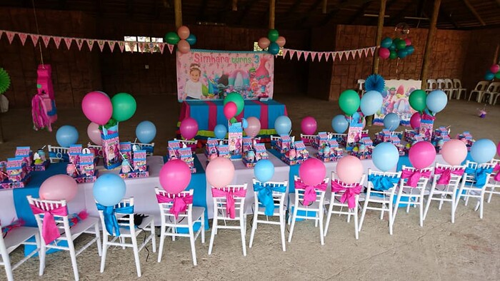 Kiddies Tiffany Chairs to hire Tiffany Chairs Party Hire Gauteng