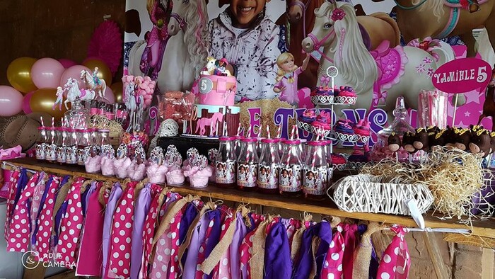 Kiddies Theme Parties offers personalized birthday party supplies and decor for sale.