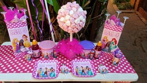 We are a Gauteng based events and party planning company specialising in custom made Disney Princesses party supplies.