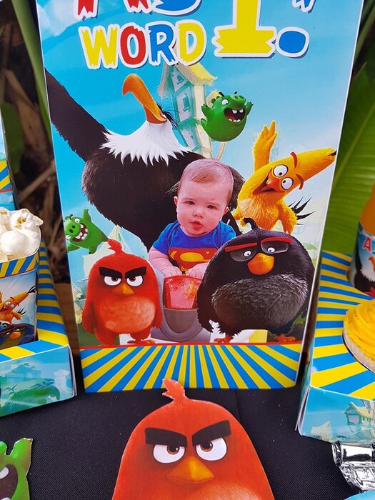 Our custom made Angry Birds party supplies include personalised pvc banners, party packs, movie boxes and more.