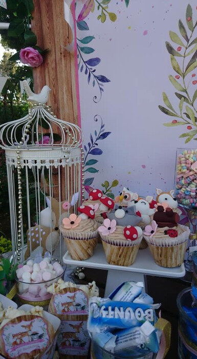 Kiddies Theme Parties offers personalized birthday party supplies and decor for sale.