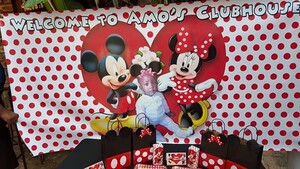 We are a Gauteng based events and party planning company specialising in custom made Minnie Mouse party supplies.