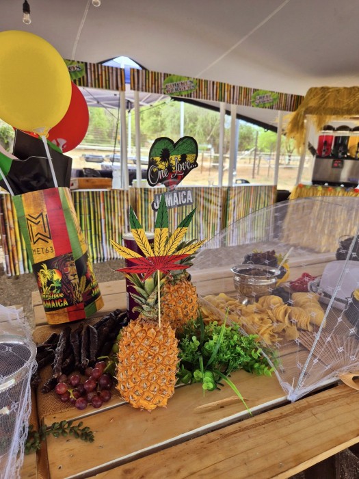 Kiddies Theme Parties offers personalized birthday party supplies and decor for sale.