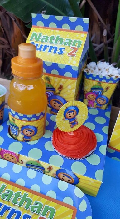 We are an events and party planning company specialising in custom made Team Umizoomi party supplies.