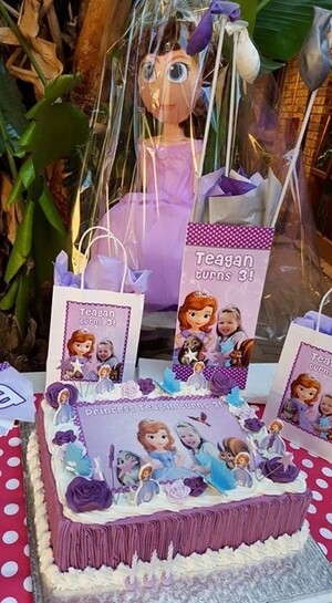 We make party supplies for popular themes such as Frozen, Doc Mcstuffins, Ferrari and more.