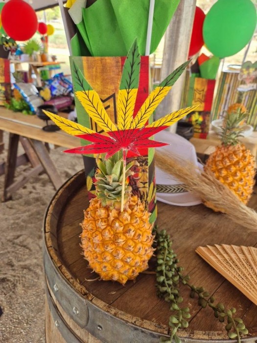 Kiddies Theme Parties offers personalized birthday party supplies and decor for sale.